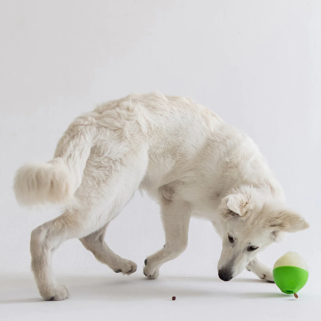 Іграшка для собак Pawbler Treat Dispenser Benebone